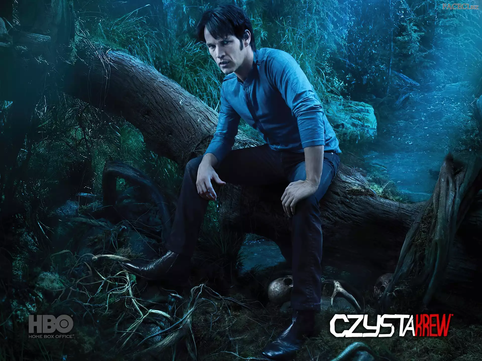 Bill Compton - Stephen Moyer, Czysta krew, True Blood